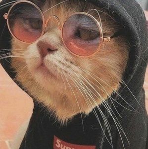 Meet your Posher, Mia